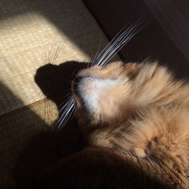 Aa245ddf 28d9 4c9e 9d68 f0bdf0eff199 1597556685413