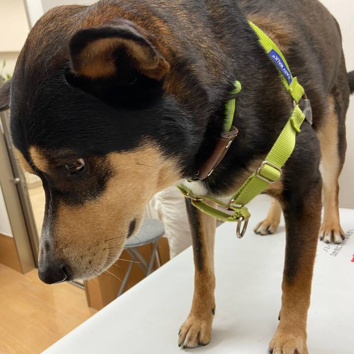 Aa246747 179c 4167 a103 e341dba30e80 1651890734206