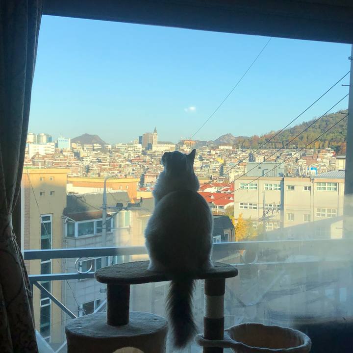 Aa24b5c5 cd3f 4635 968f b0f7b503a8c6 1574126264099