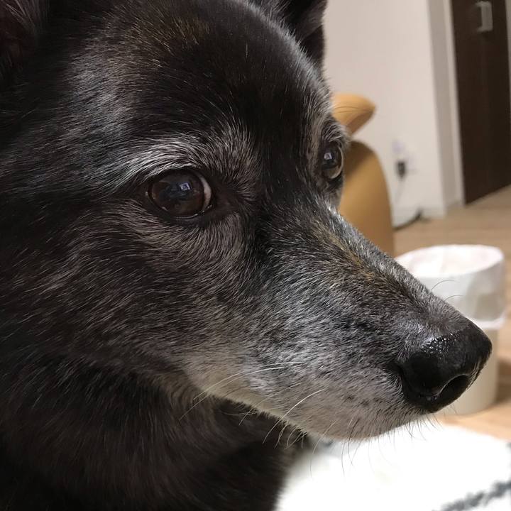 Aa24df51 48db 4288 aad5 c8b393c4ced9 1581258408868