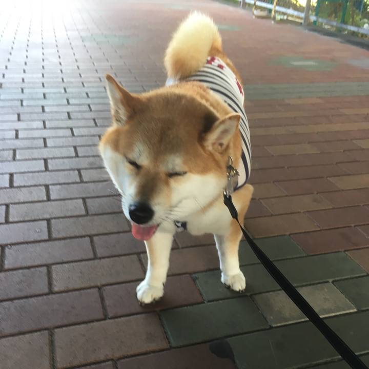 Aa24eb35 4dc2 4ade 8c5c 0b170def08b1 1543897203975