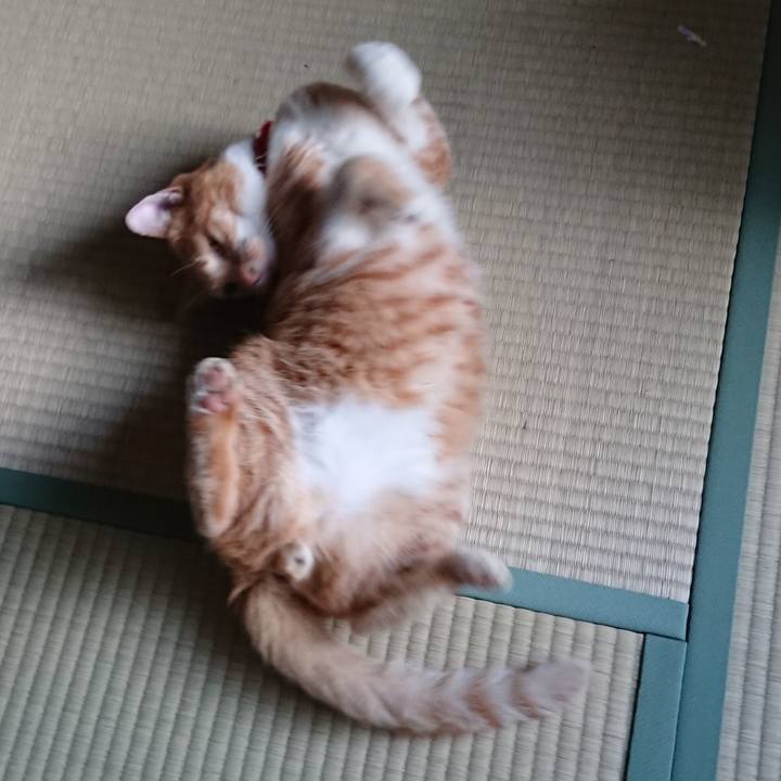 Aa252284 1d32 49db b0be 8e9e93a416e8 1568670371045