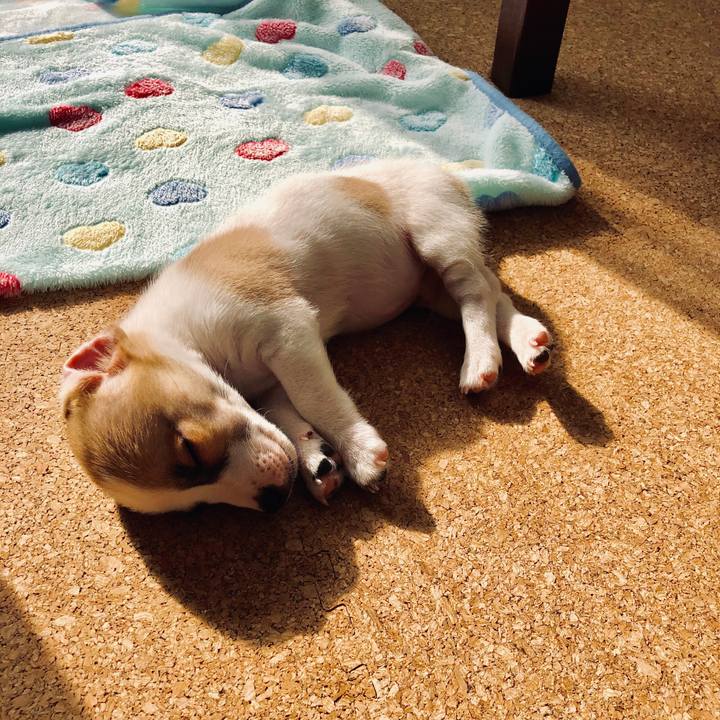 Aa252400 fe6c 42ef af5c 78cc574bf136 1543629545169