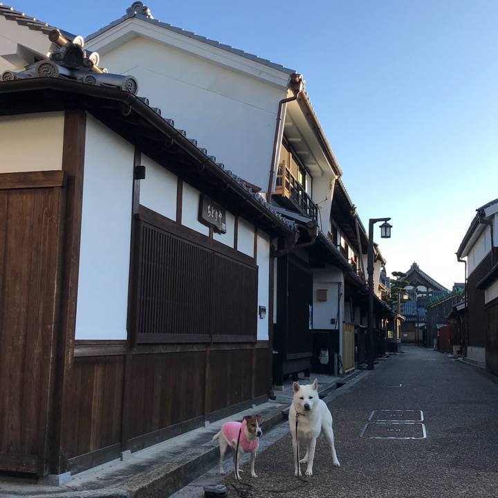 Aa2557c2 7789 48d4 a119 eff1a84eae00 1513469773583