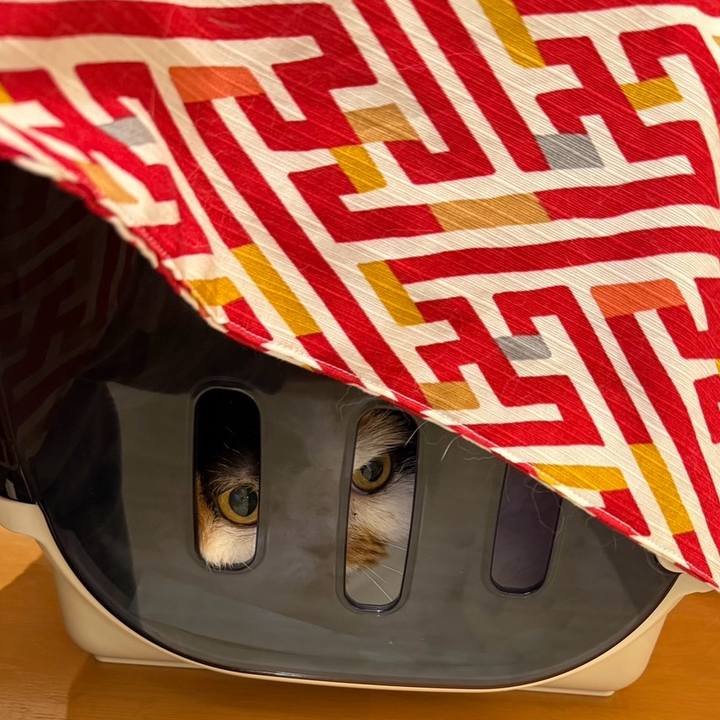 Aa25609a 6afe 4fa0 b245 3dacce423ecd 1759890940349