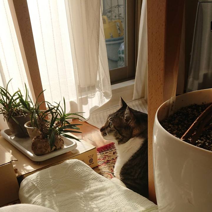 Aa256800 6c29 4d4a b699 0108065c26b1 1550446889396