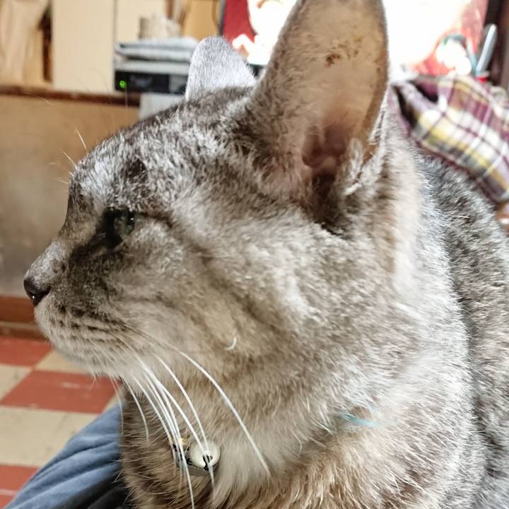 Aa2577c7 62ab 429f 8b52 e9456018cb76 1573128029005