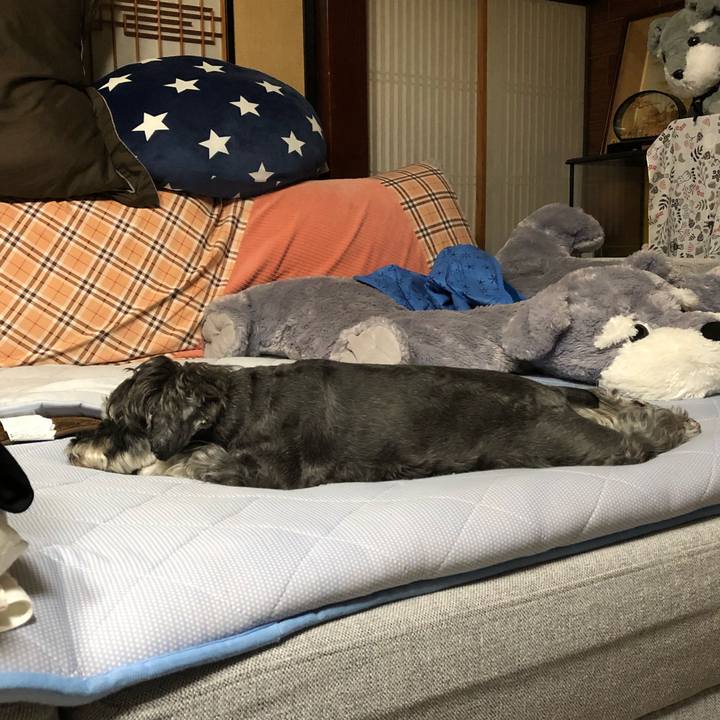 Aa259e51 6e33 4bec 8aa1 394f2c3791aa 1633010378032