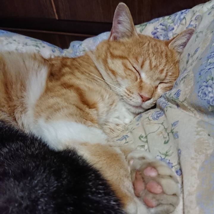 Aa25c1c7 6de4 491e 8758 788c57676872 1582549081573