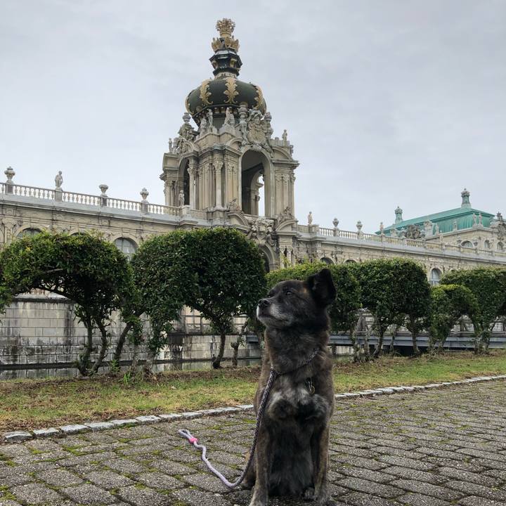 Aa25e1bc d594 400a ac69 b8951d323436 1563624814016