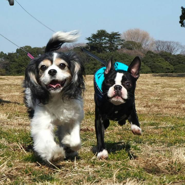 Aa25f257 b83a 4c9b aa5e 769b442997bb 1516507165634