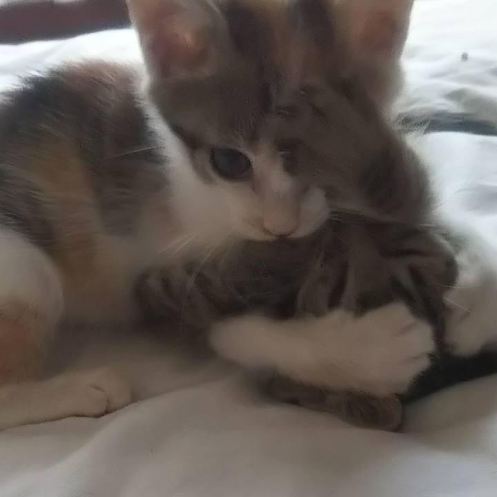 Aa265b1c 6123 4ac0 80b4 03e6d7141fdc 1633564873111