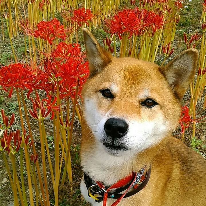 Aa267b32 5917 42e1 926c 67a927293ff8 1569713984598