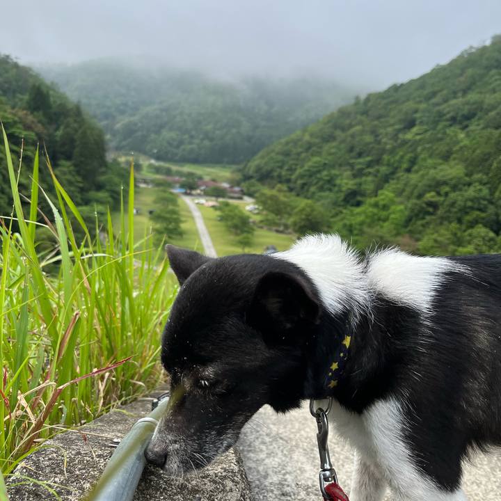 Aa269526 c394 425c a97e 94a73f094f83 1686355163361