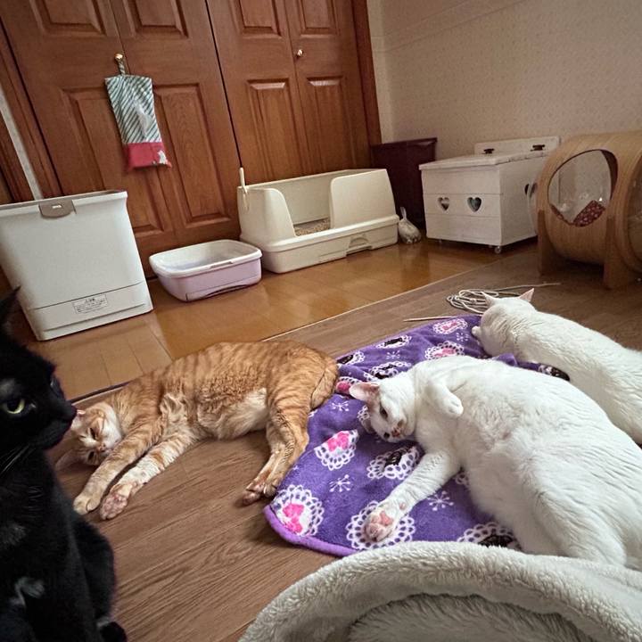 Aa269bac 28d2 45e0 a7f8 dfa9c423ddac 1682327338330