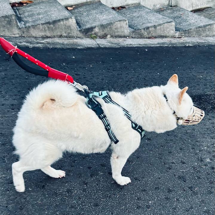 Aa269f29 9023 4d8d 8313 feb96783670c 1700092191764