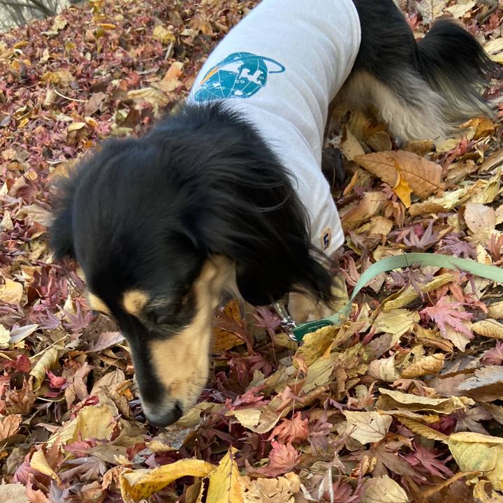 Aa26ebfa ed81 4f8b 85b8 3f6d1fde3ab7 1734510870455