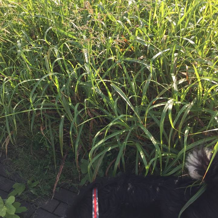 Aa270aa3 770e 45cf 802b 4885ac438276 1568253369031