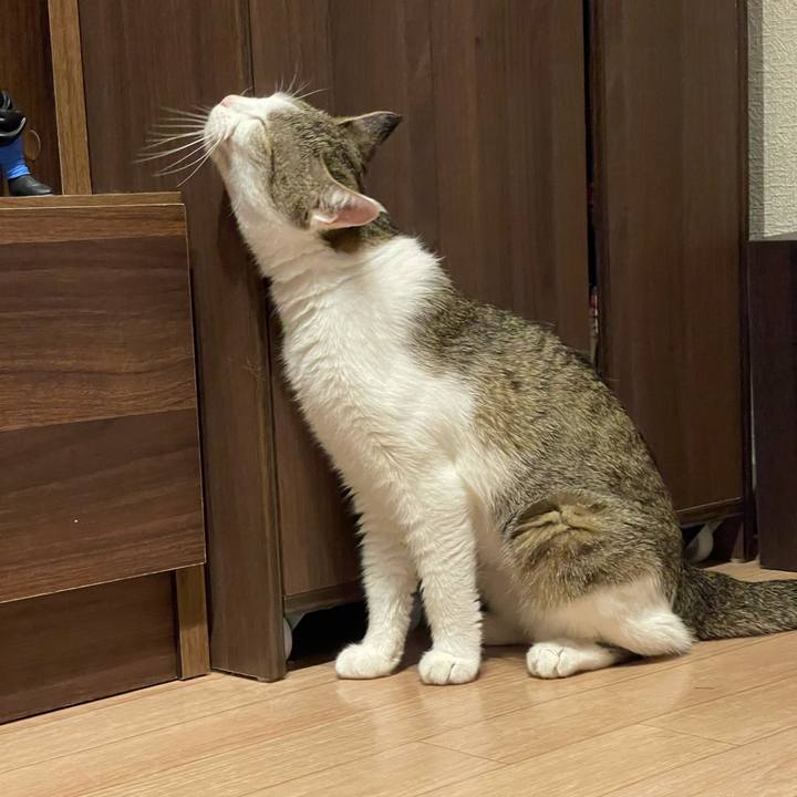 Aa270d24 6127 4afb 9ca3 0258747177e5 1628676197807