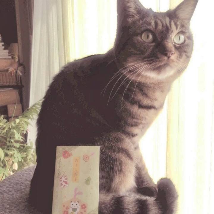 Aa2720d0 f121 4709 9592 25ea5a6ab874 1767502473069