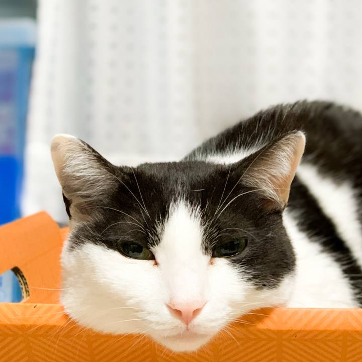 Aa2741fc 69ba 45f7 a877 8eeb315ff529 1590456686536