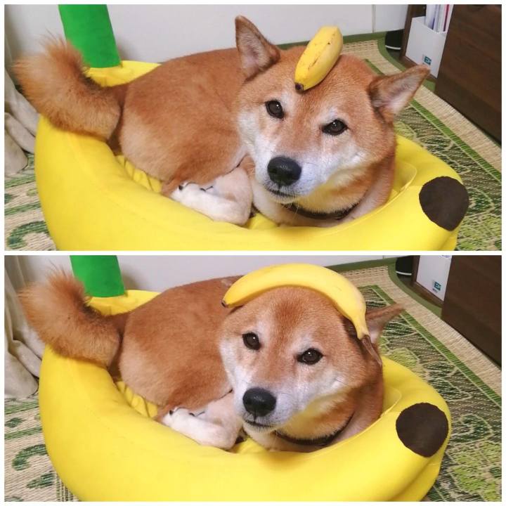 Aa27ad4e 522b 41d0 bfa4 0796fdcfd210 1661854854538