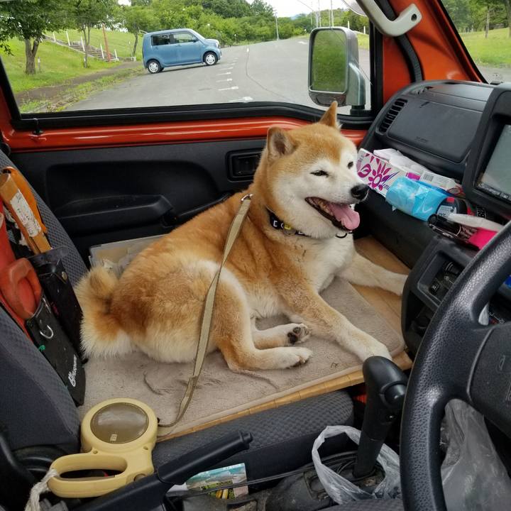 Aa27c4d5 198d 4585 8849 276f932150d5 1656921865091