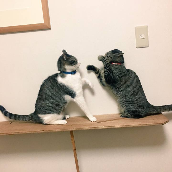 Aa27ec22 d1c8 4412 8c8c fb015f548bf8 1517975314425