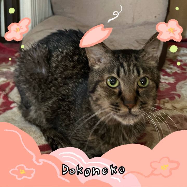 Aa2836ee 0e46 438c ae59 44bd7c88e908 1775352632942