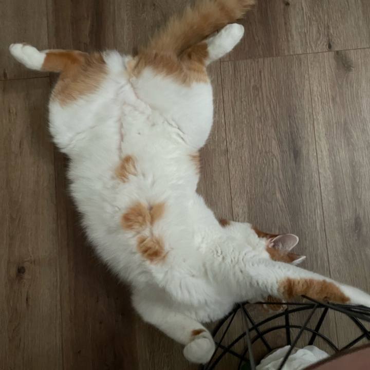 Aa288870 5b9e 442a 8d46 c8e5847adfd1 1660468805720