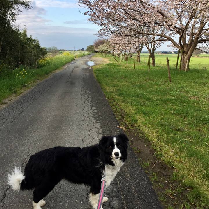 Aa289d40 284f 4124 b9e1 2984f7ba3cab 1585610051375