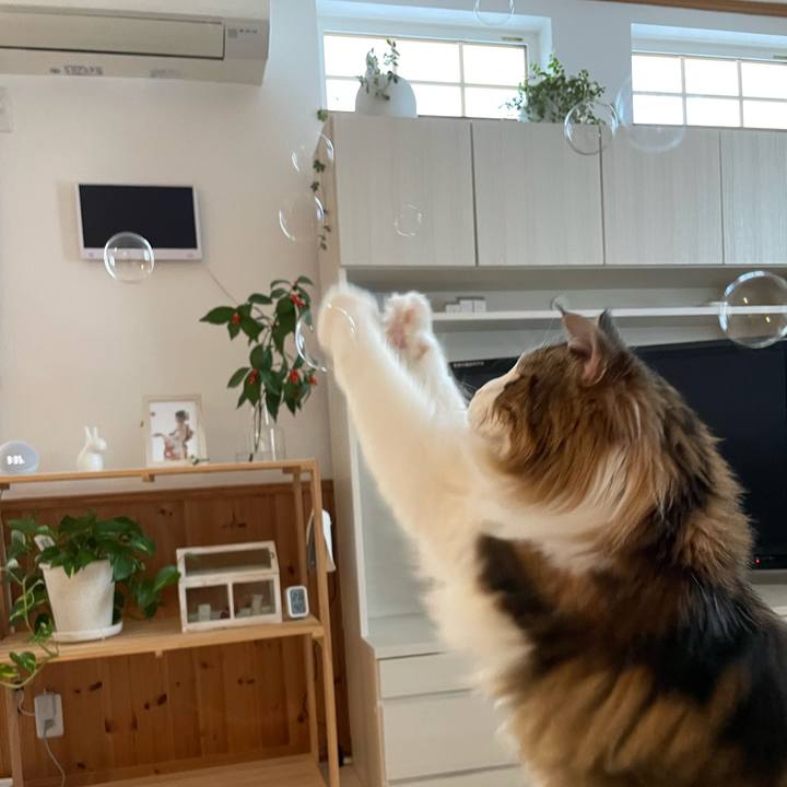 Aa28a91d 8bdc 406b a143 bbbc8234484f 1673768093905