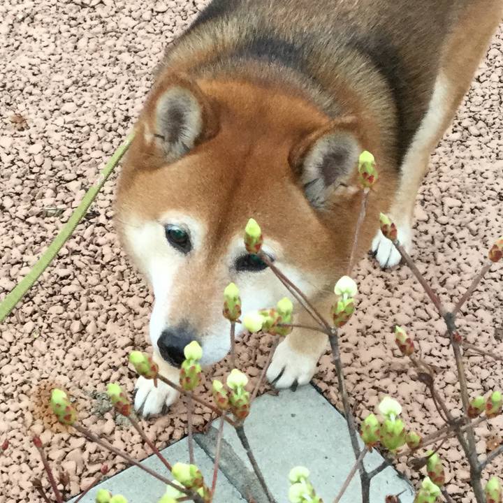 Aa28cf9f 6b2c 4a3a 9ec7 928236c1fc44 1584100072500