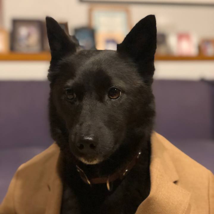 Aa28ee83 607b 46a9 8ad5 4915f53fff9c 1553768274512