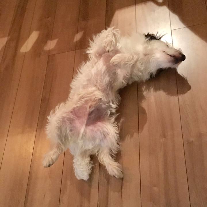 Aa29089d 6452 4252 b288 a8dd7ddac00f 1508191491715