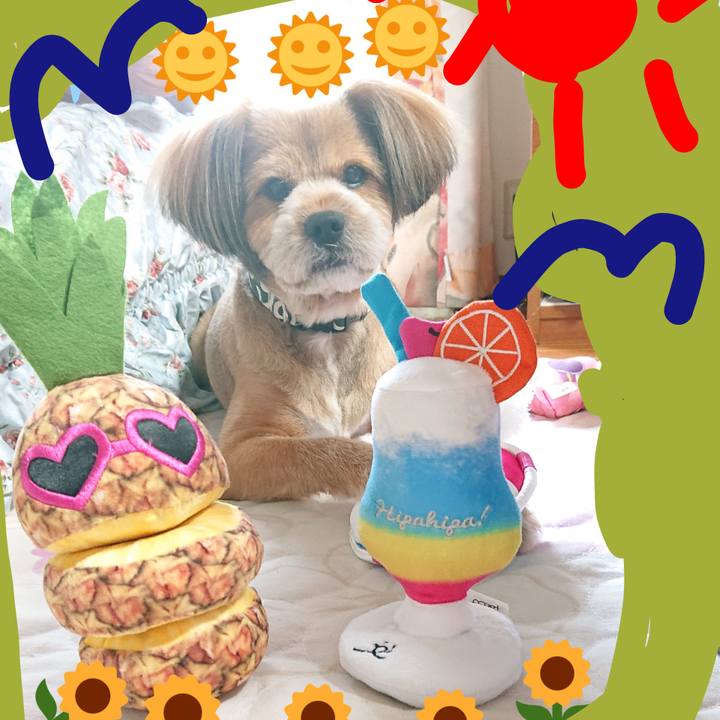 Aa291114 e472 4395 a7e9 fc2296d60d20 1564390419256