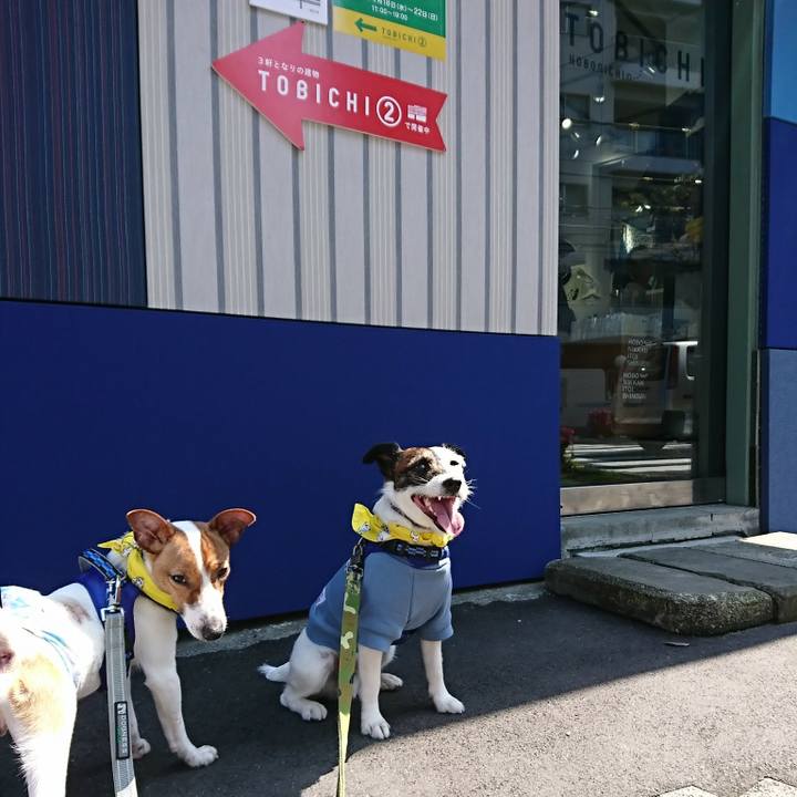 Aa29db34 2f60 4117 9f5e d83b0c2bf419 1524199109792