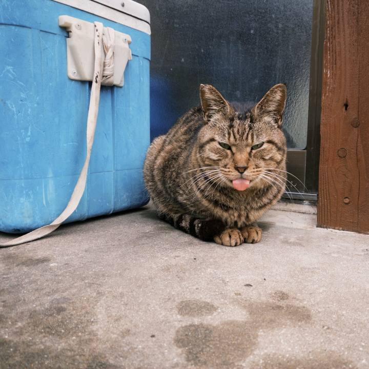 Aa2a48fe ed5b 4cc5 b2b8 91a77ec9f9b3 1765721129554