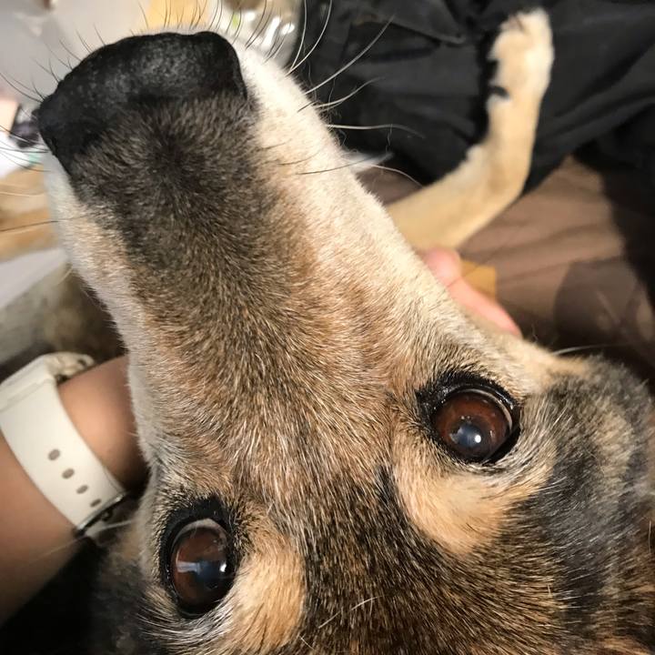 Aa2a7605 f4e4 4738 a24e b8889059c2f0 1540771639141