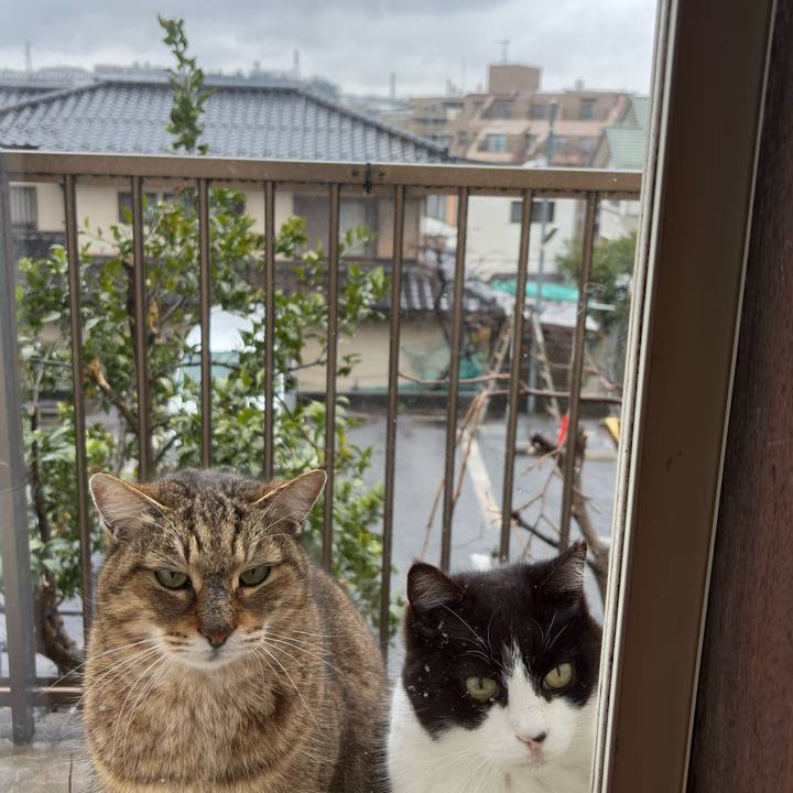 Aa2aa7ac c84d 48e1 bdec c75c37bc696b 1772519899857