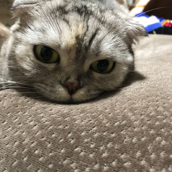 Aa2aef81 a22b 48ee 8466 e7a8ae4616d7 1516105688516