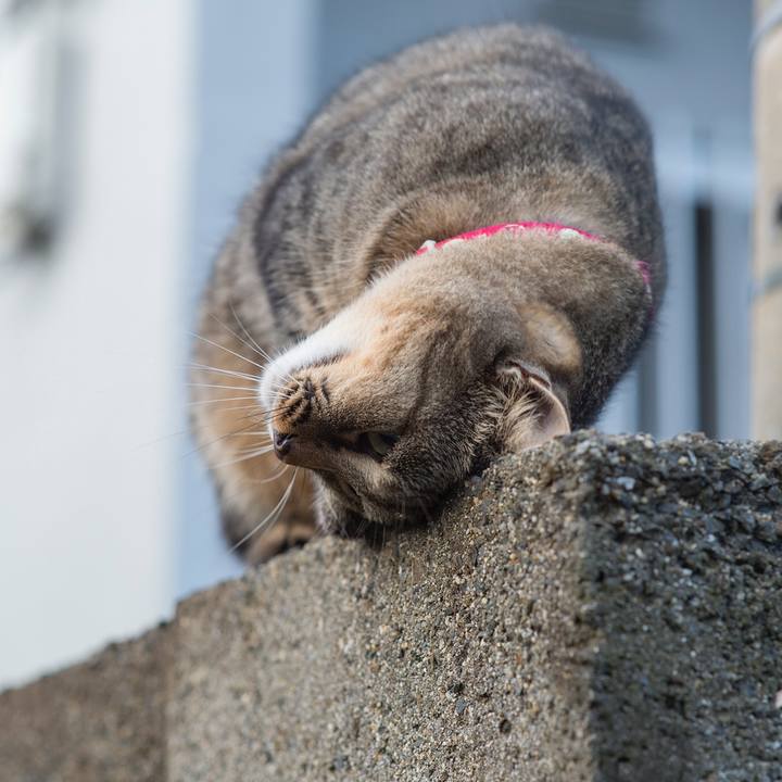 Aa2af79a 9b36 494f 8d70 702579f0a04e 1537057600265