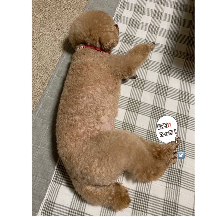 Aa2afd18 bc80 42e8 961f 6b88ab45148d 1570187079024