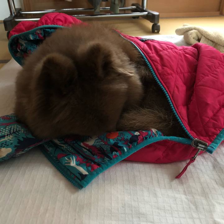 Aa2b11c3 8350 4161 bc1e 7ae5dc416070 1606108524822