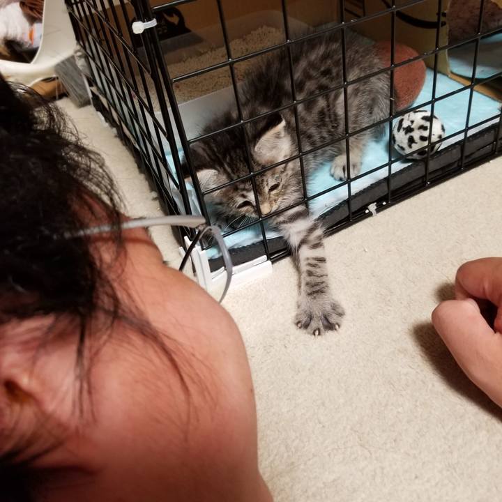 Aa2b24ee 1415 4cc7 b854 ab318376e25b 1660832377722