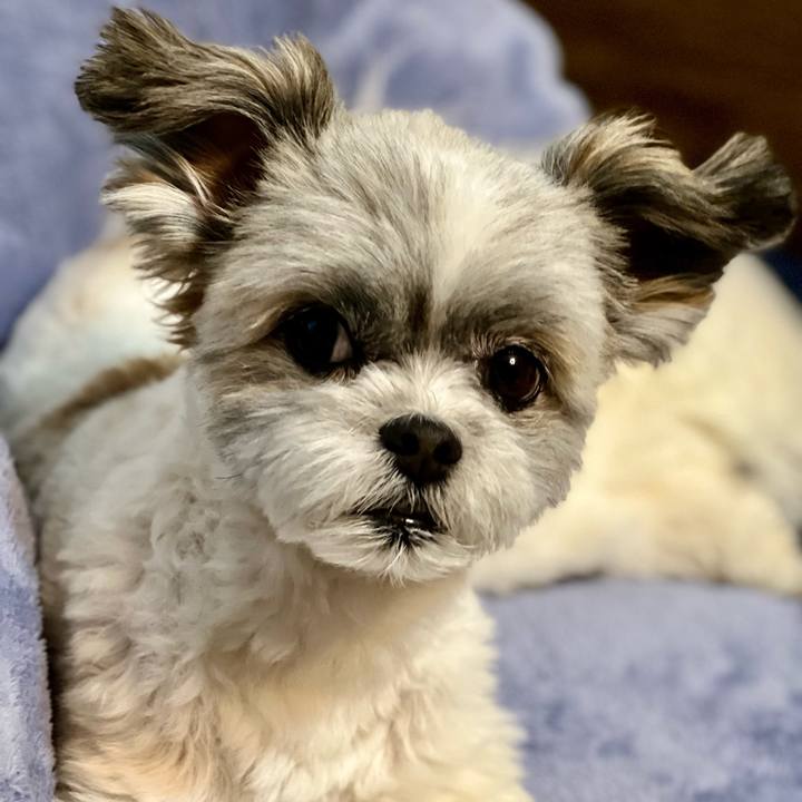 Aa2b26df 4600 481d 8ce9 c0ecc4ddb4eb 1655106393469