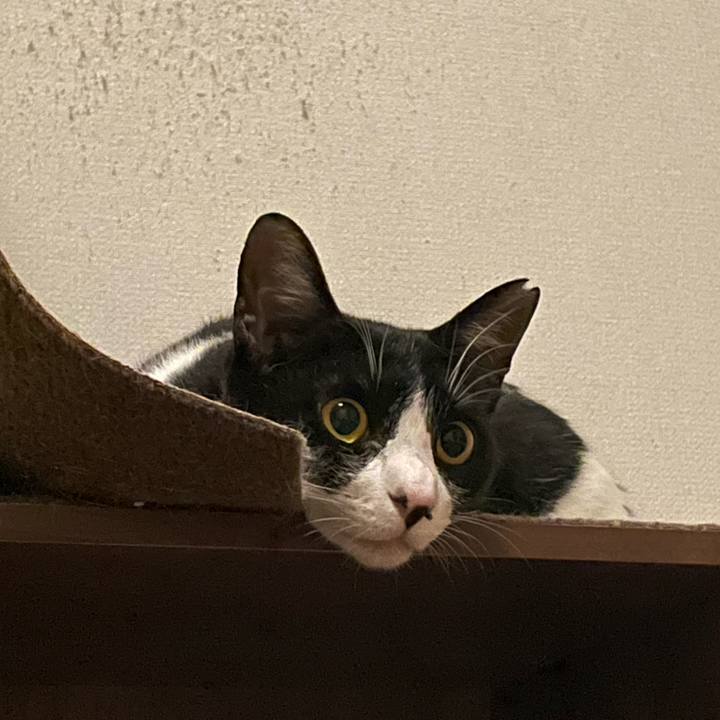 Aa2b7eff 7307 4f3f 89ec b08d0af289d3 1689244917781