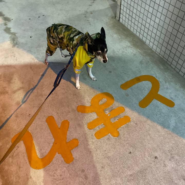 Aa2b88d6 b17a 4e57 a915 8181fd2bde0d 1572298699194