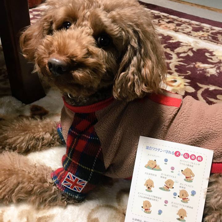 Aa2b919c 8e81 44e4 b7dc 39c7bc577416 1513152025483