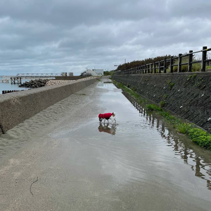 Aa2b9866 7f8e 4430 b26a a1abd47de08f 1621207381336